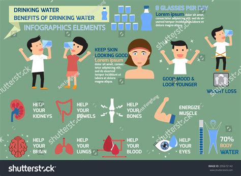 Vektor Stok People Drinking Water Benefits Drink Water (Tanpa Royalti) 295672142 | Shutterstock