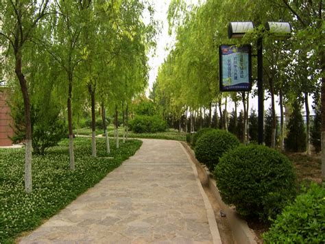 园林景观绿化设计与施工 业务范围 陕西鑫淼园林景观工程有限公司