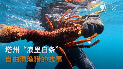 塔州“浪里白条” 我和自由潜渔猎的故事 | SBS Chinese
