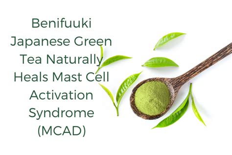 Benifuuki Japanese Green Tea Naturally Heals Mast Cell Activation Synd ...