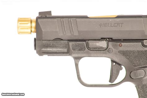 Image result for Hellcat Springfield 9Mm Customized