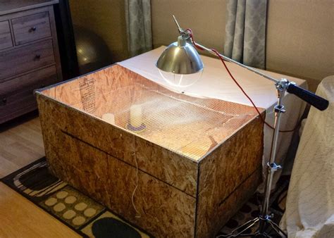 Chicken Brooder Ideas 的图像结果