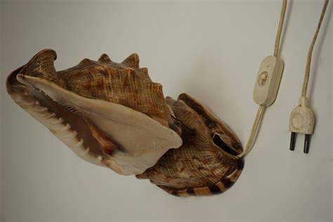 Image result for Shell Column Table Lamp