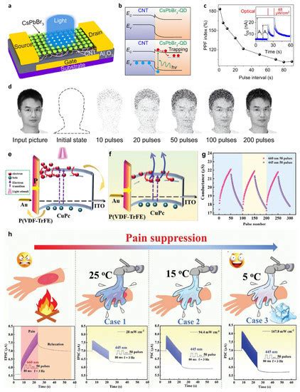 Photogating Effect-Driven Photodetectors and Their Emerging Applications