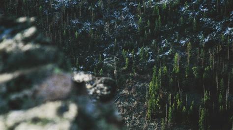 ace23 apk apk v1.5.0