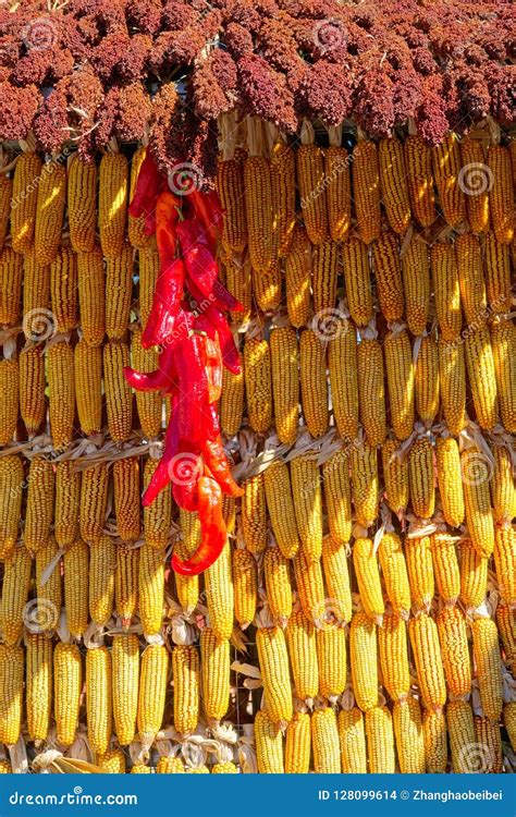 What Is The Meaning Of The Word Bumper Harvest at Holly Hernandez blog