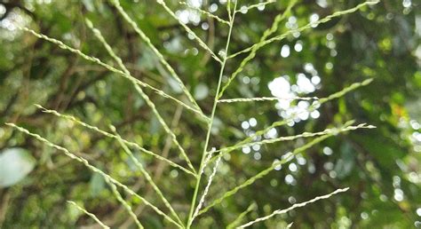 KTDC TAMARIND KONDOTTY - Hotel Reviews, Photos, Rate Comparison ...