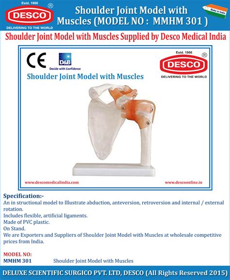 Shoulder Joint Model with Muscles | DESCO