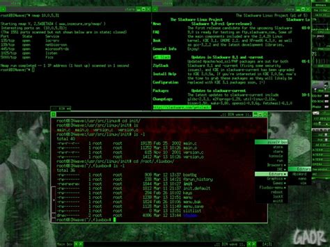 Image result for Metasploitable Exploit X Server Detection