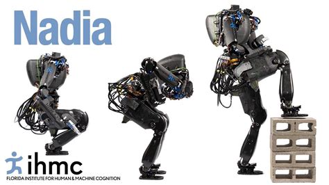 New Human Robot 的图像结果