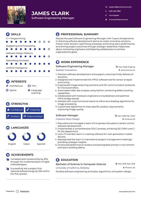 Image result for It Program Manager Resume Sample
