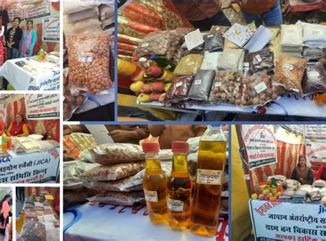 HP JICA Forestry Project || Shimla