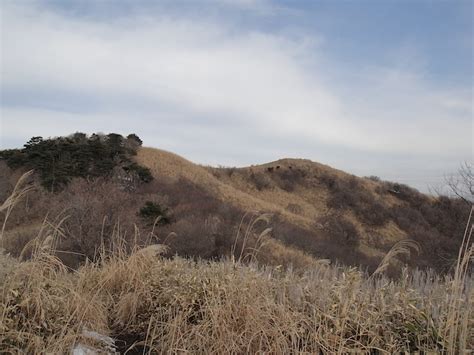 北摂、るり渓から深山（790.5）・金山（692.3）: Yuzurihaののんびり山歩き