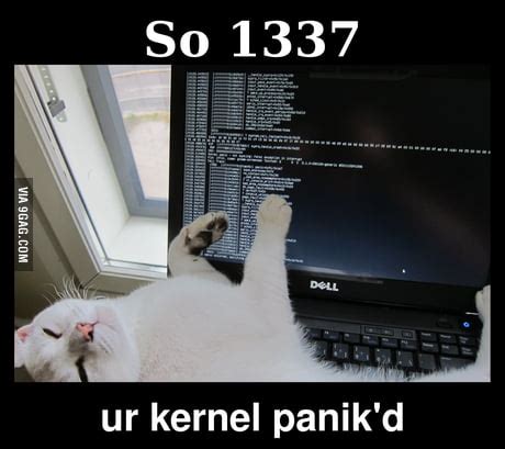 Image result for Cat Fixing Computer