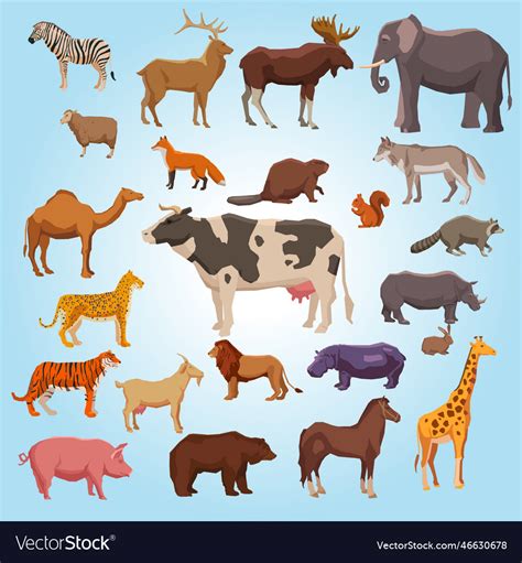 Image result for Python Animals Vector