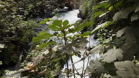 Waterfall Side View 的图像结果