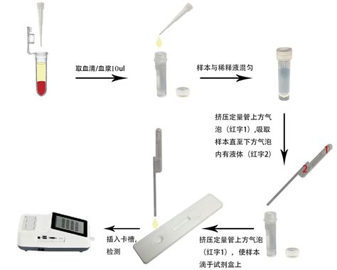 China Infectious Canine Hepatitis Virus/Canine Parvovirus/Canine ...