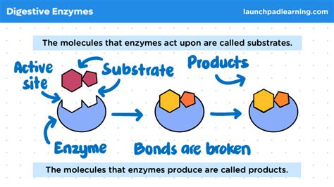 Image result for Free Science Lessons YouTube