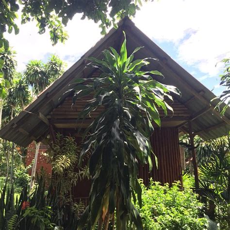 MAEYAO RESORT (Chiang Rai) - Resort Reviews & Photos - Tripadvisor