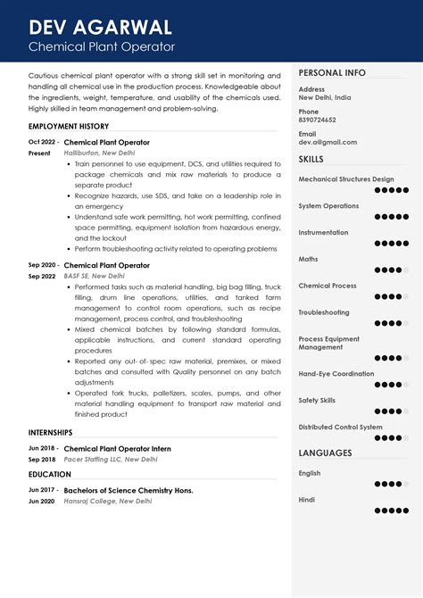 Sample Resume of Chemical Plant Operator with Template & Writing Guide | Resumod.co