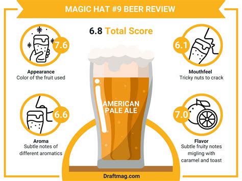Magic Hat #9 Beer Review: Everything To Know About This Fruity Beer