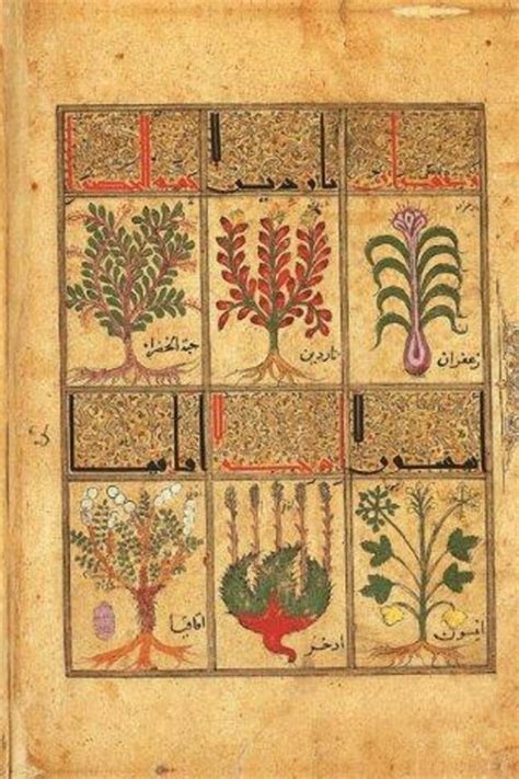 Kitab al-Diryaq. El Libro de la triaca de París | Meer