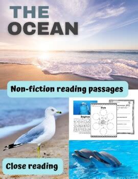 Informational Text On Shell Teaching Resources | TPT