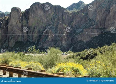 4TH Annual Motorcycle Ride for the Salt River Wild Horses, Arizona ...