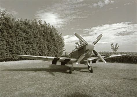 Image result for Spitfire Easy