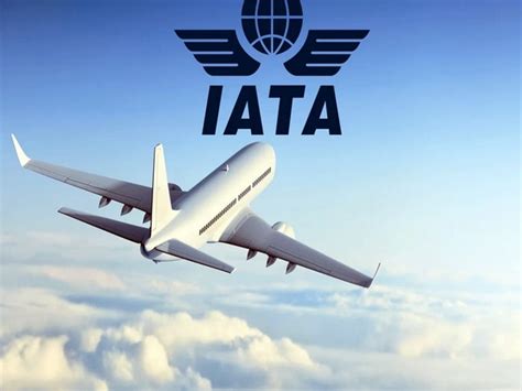 Air travel sees domestic recovery but international stagnation: IATA