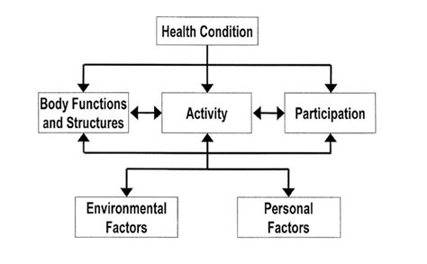 Image result for International Classification of Functioning Disability and Health