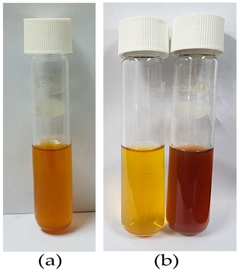 Effect of Ionic Liquid on Silver-Nanoparticle-Complexed Ganoderma ...