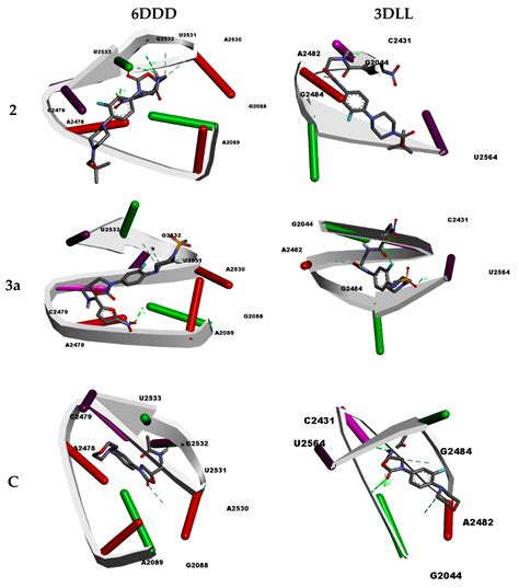 Antibacterial Properties and Computational Insights of Potent Novel ...