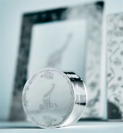 Scatola dei segreti Metallo con finitura color argento, Toile de Jouy per bambini | DIOR