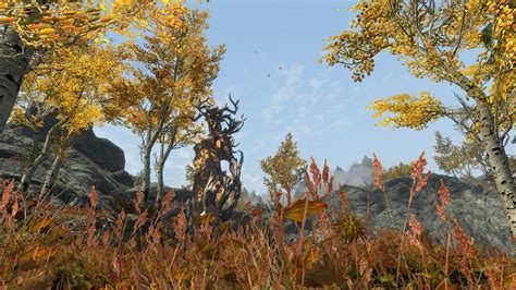 Skyrim Mod Randomises Your Character Species Every 150 Seconds