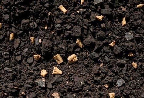 Rocks, The Rock Cycle and Soil Flashcards - Class 6 Science Olympiad