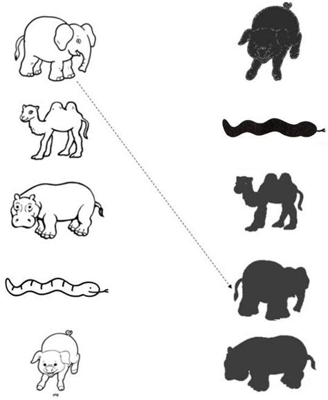 Shadow Matching Worksheet #28 | Olympiad tester