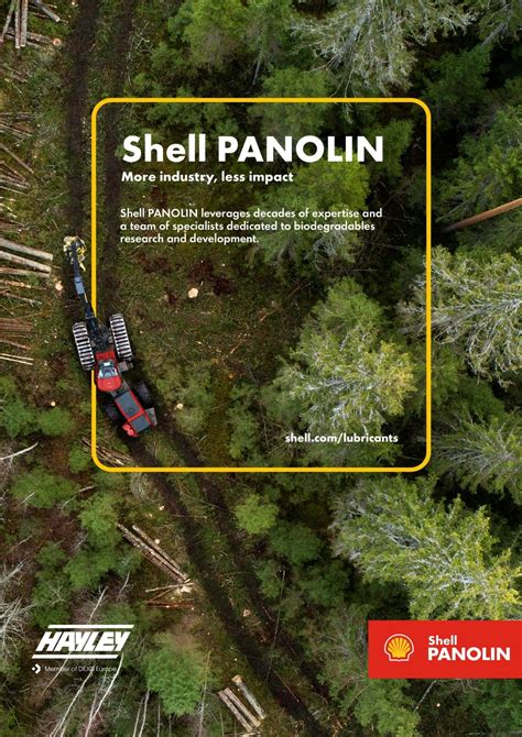 Image result for Shell Panoline