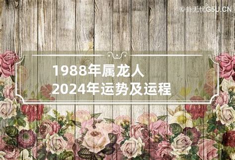 1988年属龙人2024年运势及运程男 1988年出生2024年运势_卦无忧