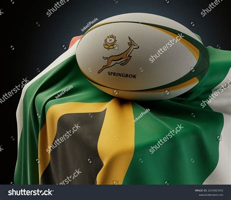 Image result for Springbok Rugby Pics