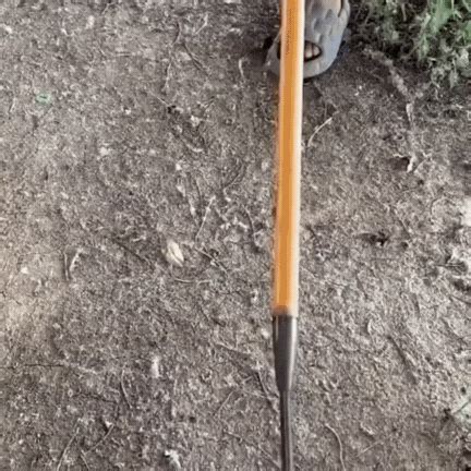 Japanese Heavy-Duty MultiPurpose Rake