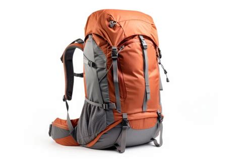 Nice Backpack 的图像结果