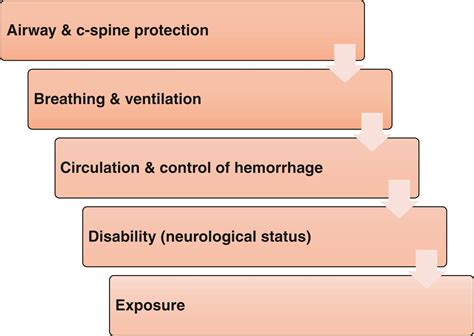 Image result for Process of Trauma Chart
