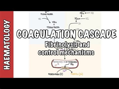 Coagulation Panel: PT, INR, and aPTT