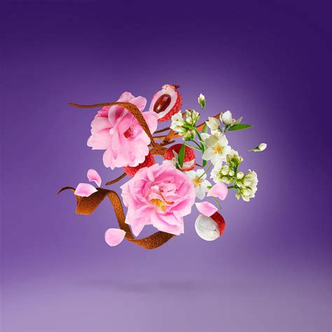 Xerjoff Fragrances – Perfume Network India