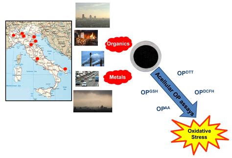 Review of PM Oxidative Potential Measured with Acellular Assays in ...
