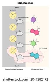 Image result for DNA Microarray Kit