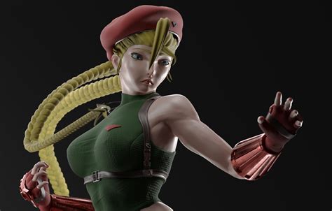 Cammy 3d