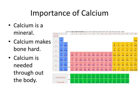 Image result for Bone Marrow Function