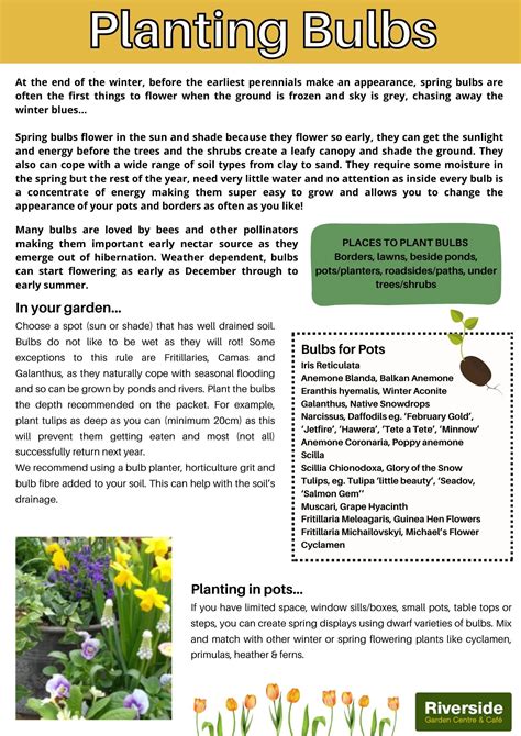 Image result for Bulb Planting Guide